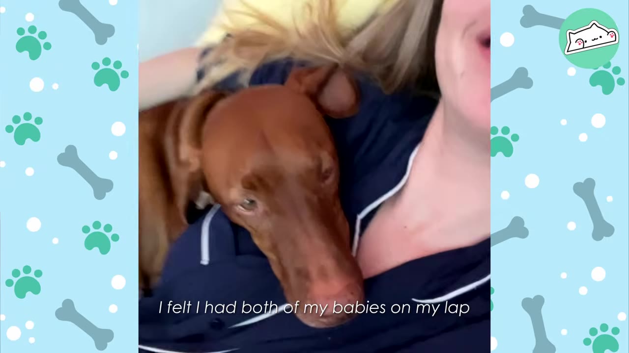 A brown dog resting its head on a woman's chest as she lies down, with text reading 'I felt I had both of my babies on my lap'.