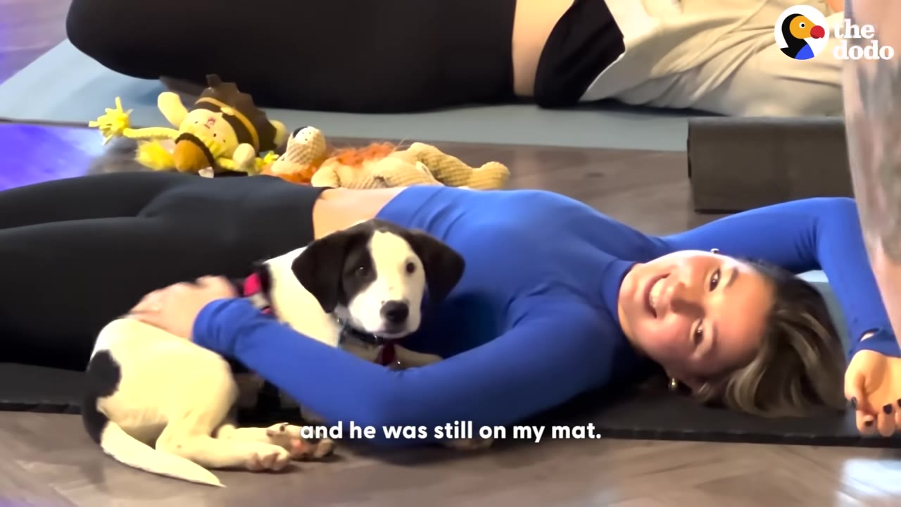 A black and white puppy lies on a yoga mat, cuddled by a smiling woman in a blue long-sleeve shirt.