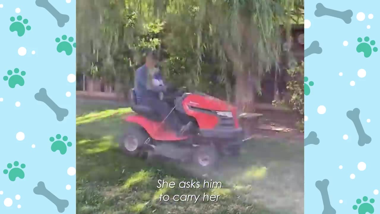 A man rides a red lawnmower on a grassy lawn while holding a small white dog in his lap.
