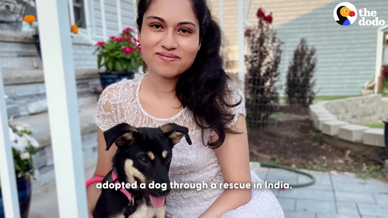 A woman in a white lace dress sits outdoors holding a black and tan puppy with a pink collar.