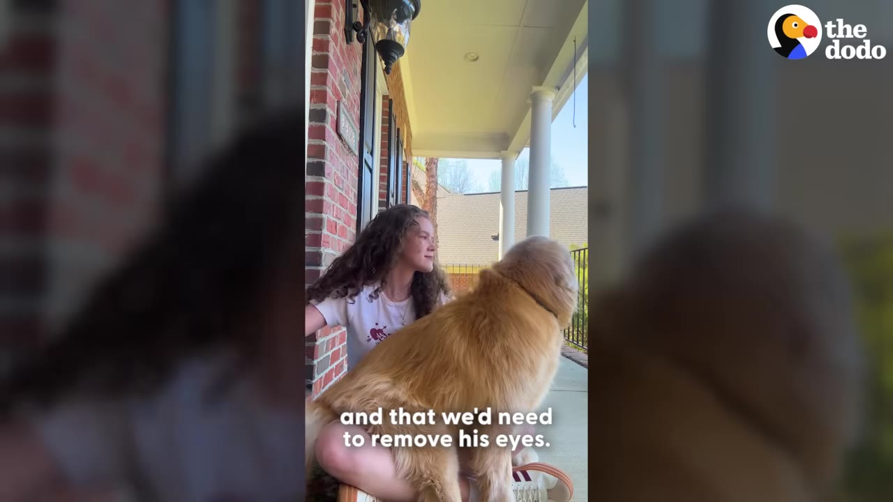 A young woman with long curly hair sits on a brick porch next to a golden retriever, looking off to the side with a serious expression.