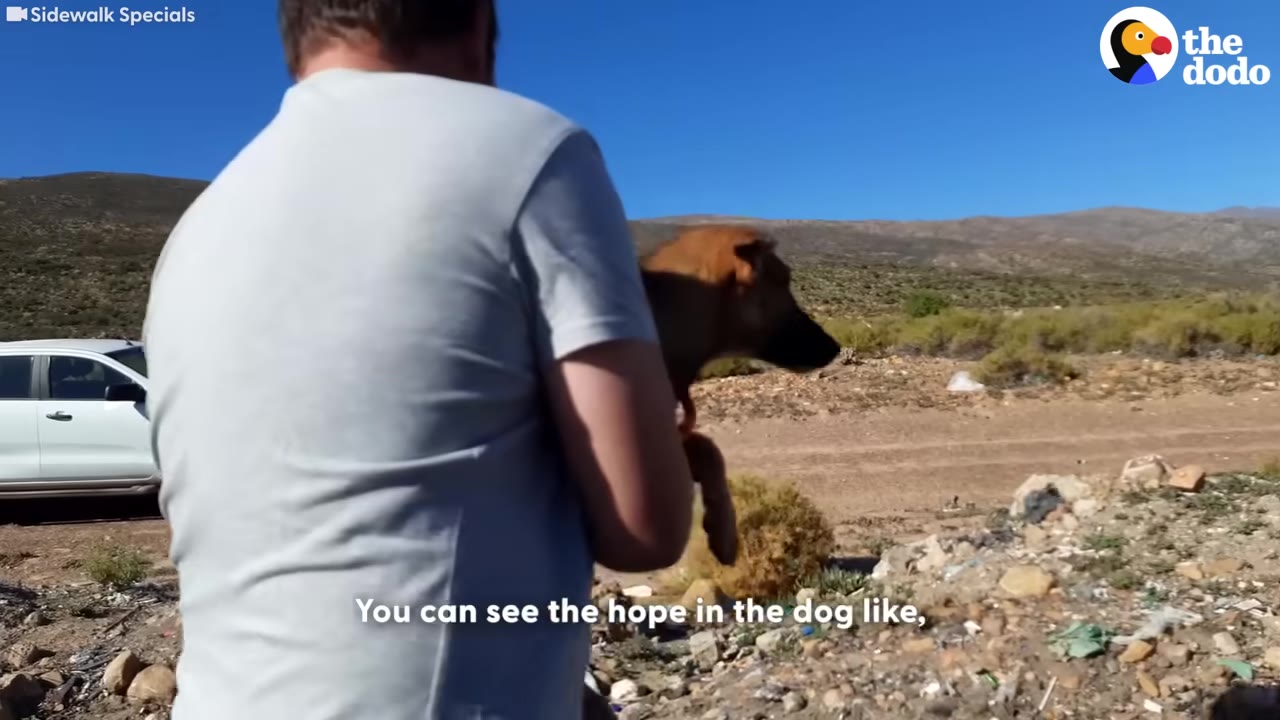 A man in a grey t-shirt holds a brown dog in his arms against a backdrop of a dry, hilly landscape under a clear blue sky.