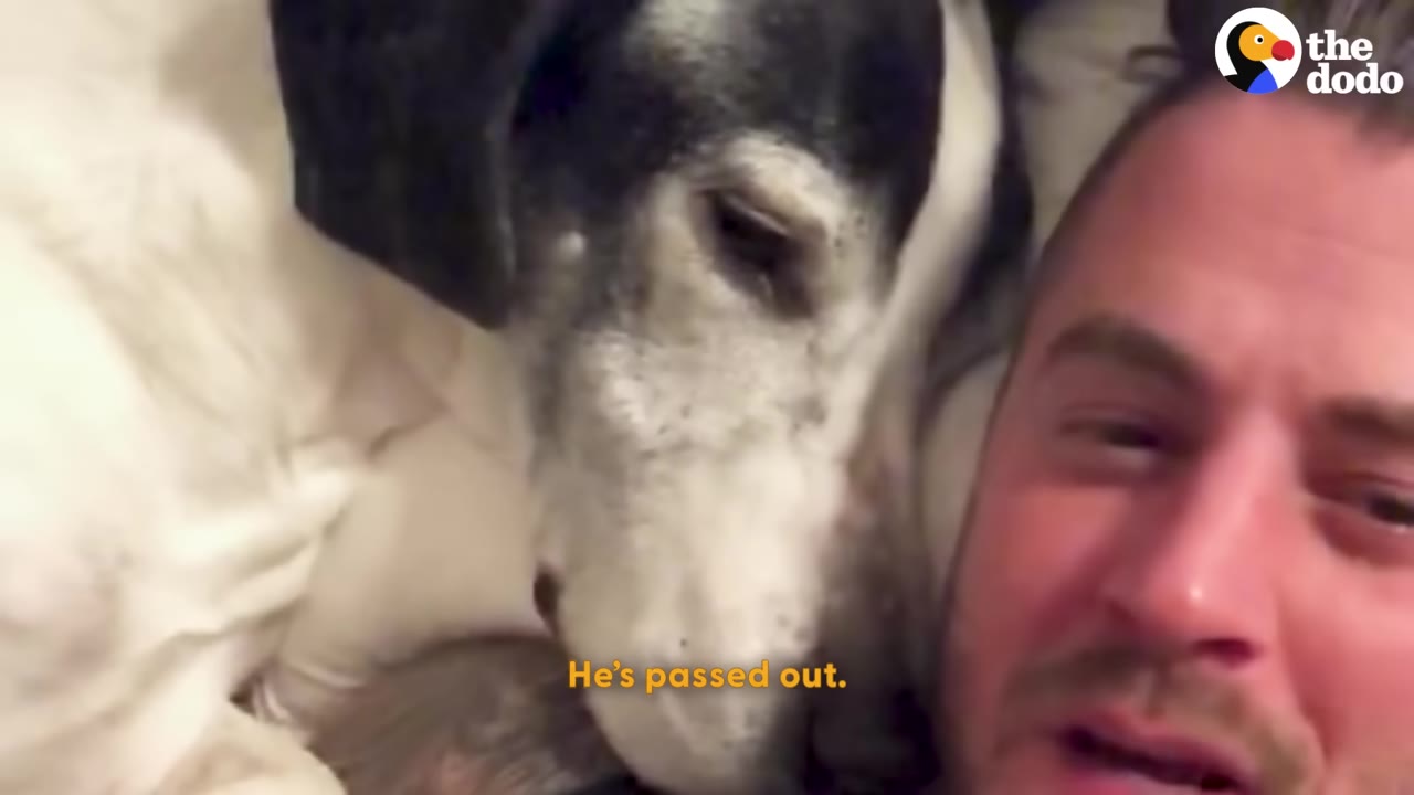 A close-up shot of a large black and white dog sleeping peacefully next to a man's face on a bed.