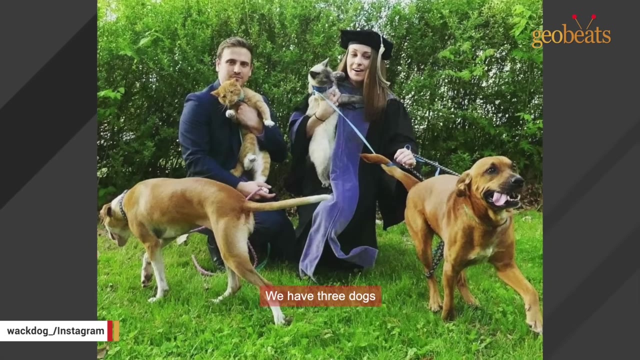 A man in a suit and a woman in a graduation gown pose outdoors on a grassy lawn with two cats and two dogs.