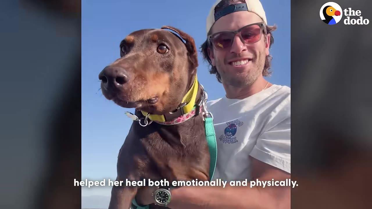 A smiling man wearing sunglasses and a baseball cap holds a brown Doberman dog close to him against a blue sky.