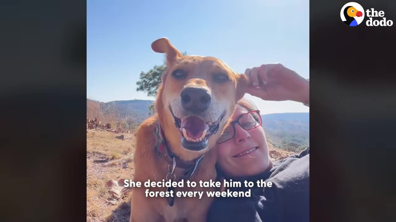 A close-up selfie of a smiling brown dog and a woman with glasses outdoors with hills in the background.
