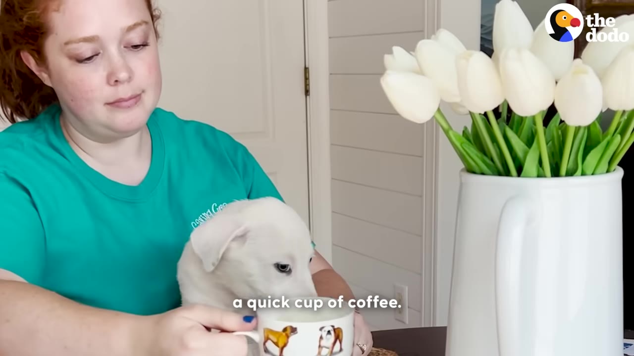 A woman in a green t-shirt sits at a table holding a white puppy on her lap while holding a mug decorated with dog illustrations, next to a vase of white tulips.
