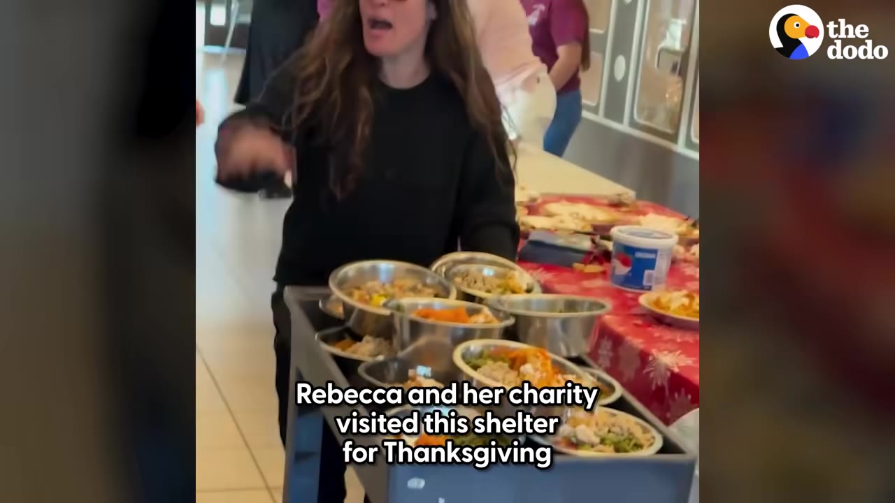 A woman stands behind a cart filled with metal bowls of food, preparing to feed shelter dogs on Thanksgiving.