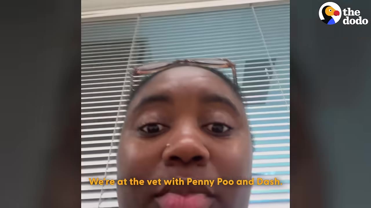 A close-up of a woman speaking to the camera in front of window blinds, with a caption that reads, 'We're at the vet with Penny Poo and Dash.'