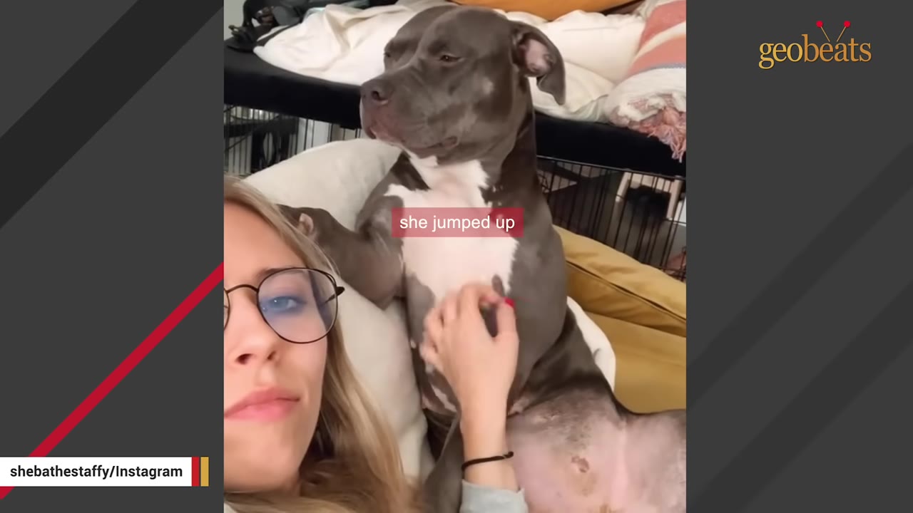 A woman with glasses lies next to a grey and white dog, gently petting its chest.