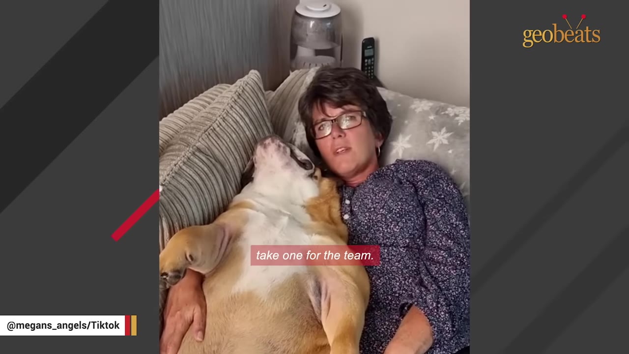 A woman with glasses lies on a couch next to a large bulldog who is resting its head on her shoulder.