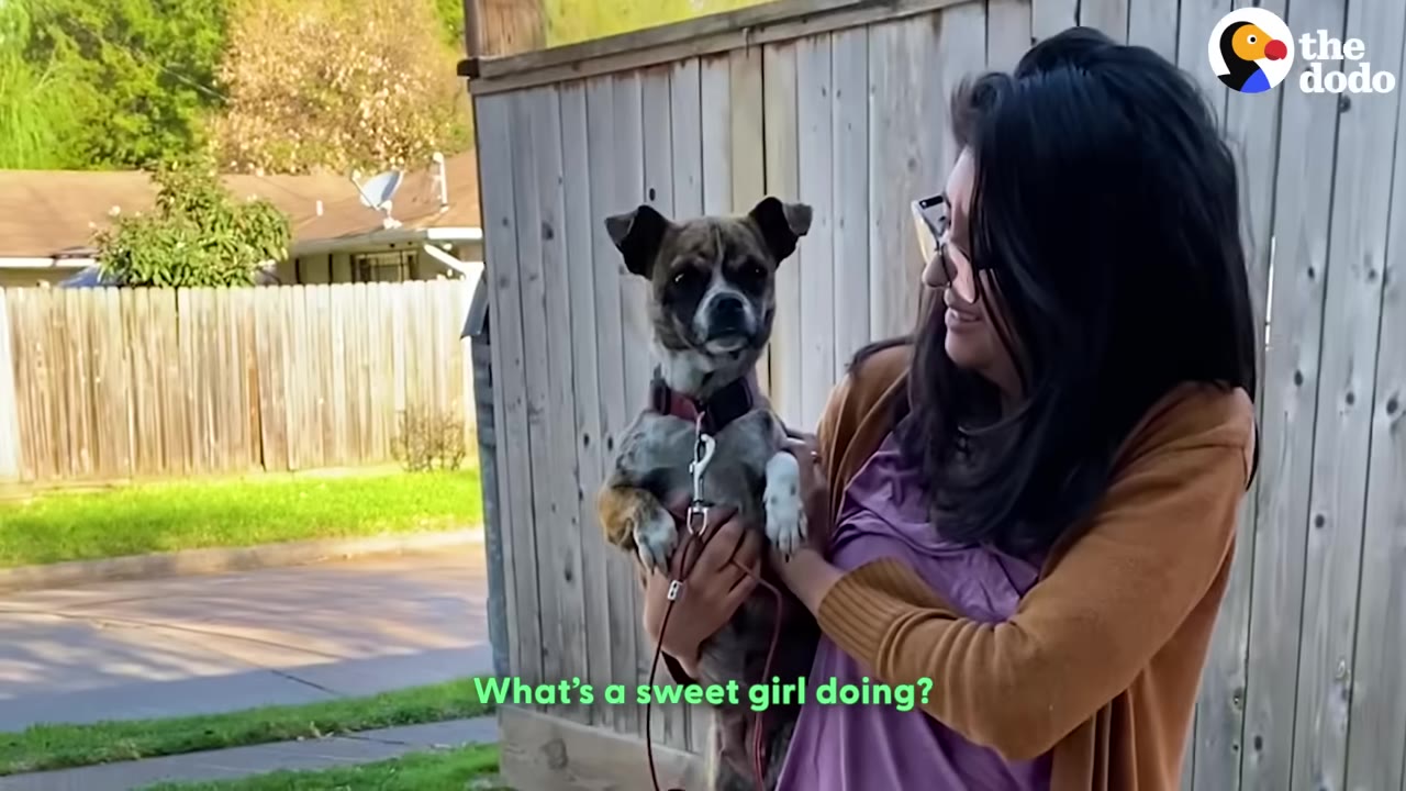 A woman with dark hair and glasses holds a small brindle and white dog in her arms in front of a wooden fence.