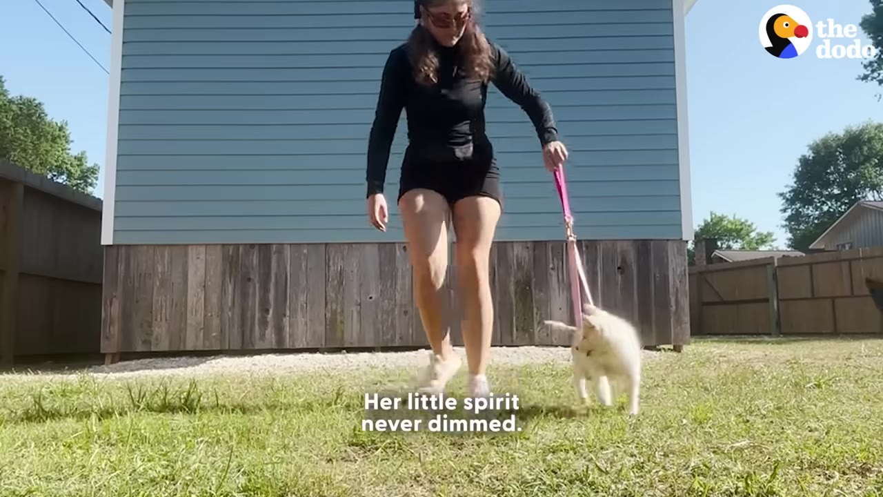 A woman in black athletic wear walks a small white puppy on a pink leash across a grassy yard.