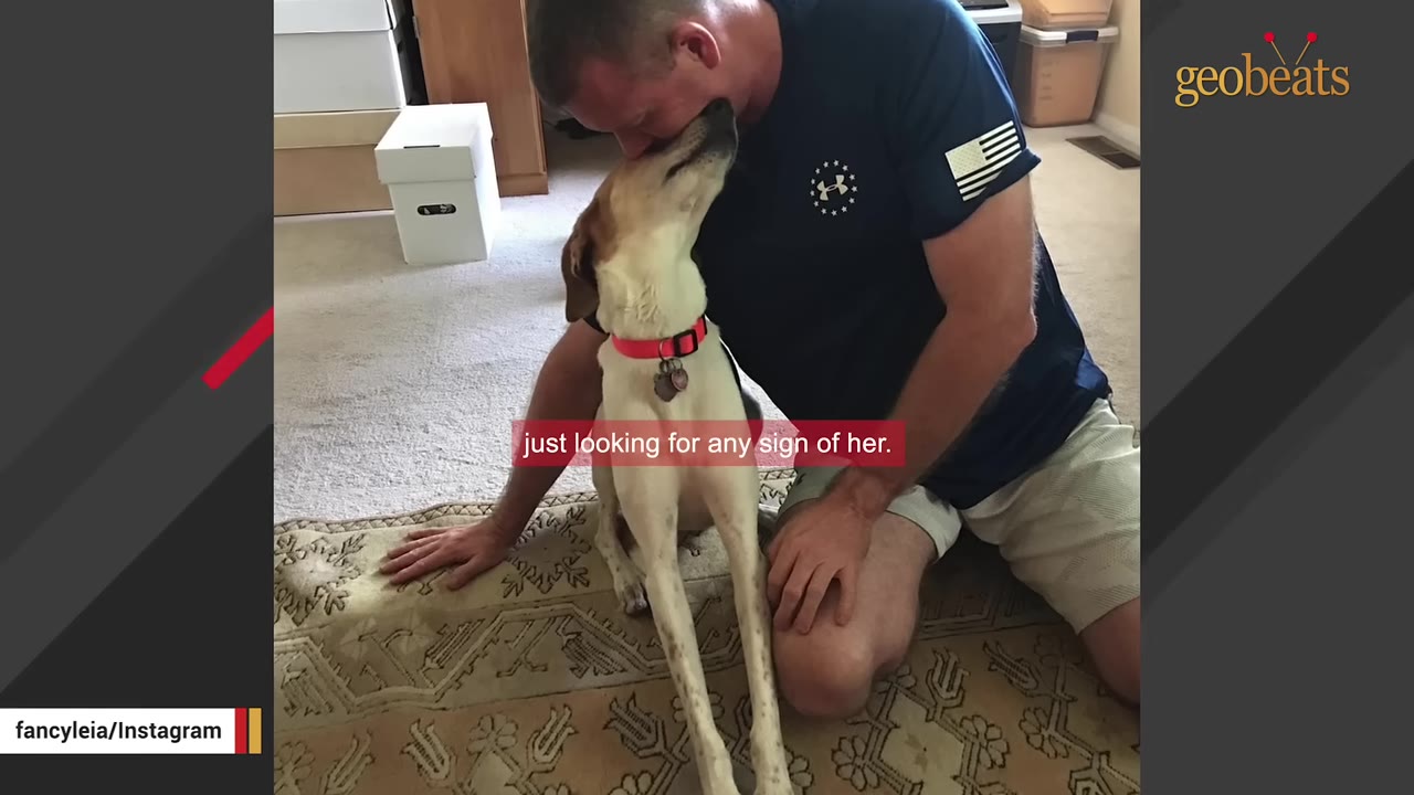 A man kneeling on a patterned rug leans forward to kiss a light-colored dog with a red collar on the nose.