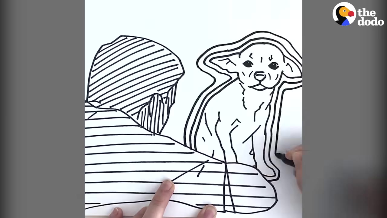 A black and white line drawing depicting a man from behind looking at a small, wide-eyed dog.