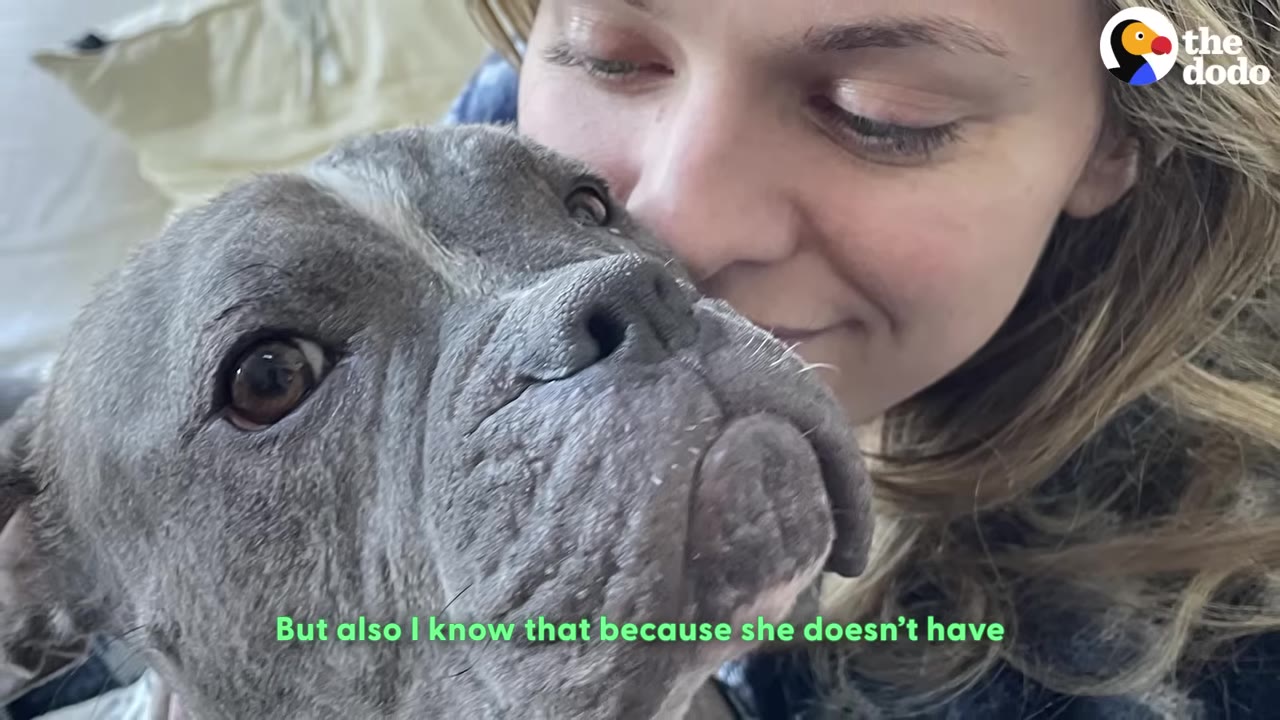 A close-up shot of a grey pit bull looking up affectionately as a smiling woman nuzzles her cheek against the dog's head.
