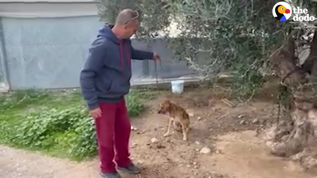 A man in a grey hoodie and red pants stands next to a small brown dog that is sitting hesitantly on the dirt ground near a tree.