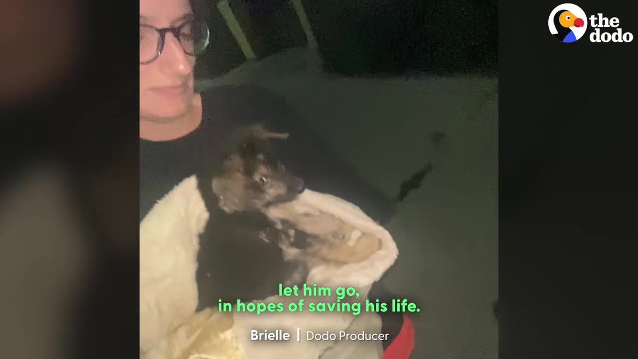 A person wearing glasses holds a small black and brown puppy wrapped in a light-colored blanket at night.