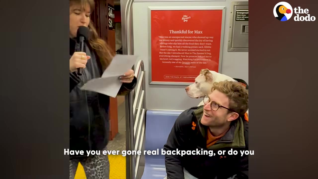 A man with glasses sitting on a subway train with a white dog in a backpack behind him, being interviewed by a woman holding a microphone.