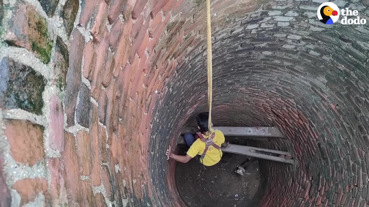 A high-angle shot looking down into a deep, circular brick well where a person wearing a yellow shirt and a safety harness is being lowered by a rope, touching the rough brick wall with one hand.