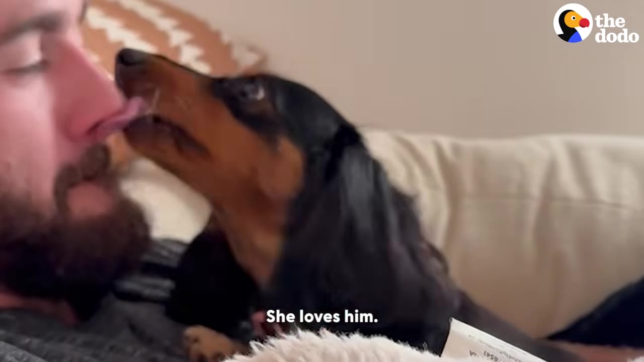 A black and tan dachshund licking a bearded man's nose as he lies on a couch.