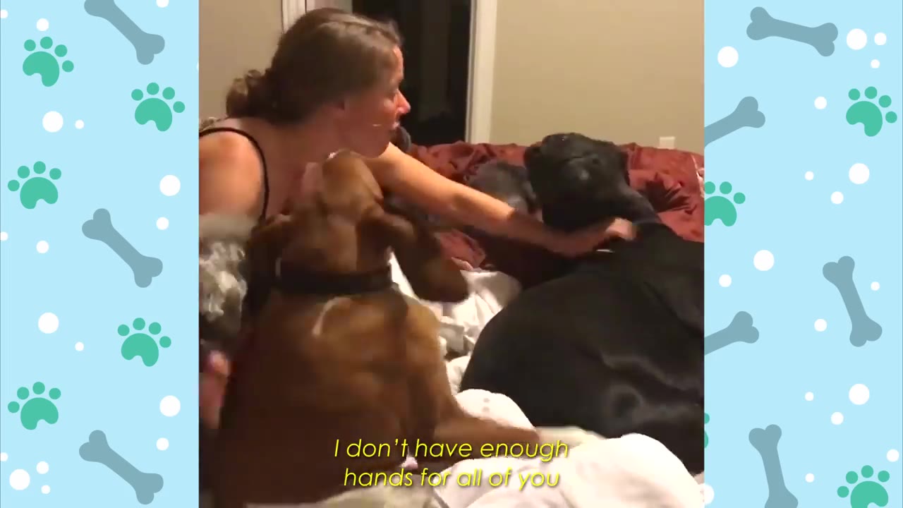 A woman on a bed surrounded by several dogs, with text overlay reading 'I don't have enough hands for all of you'.