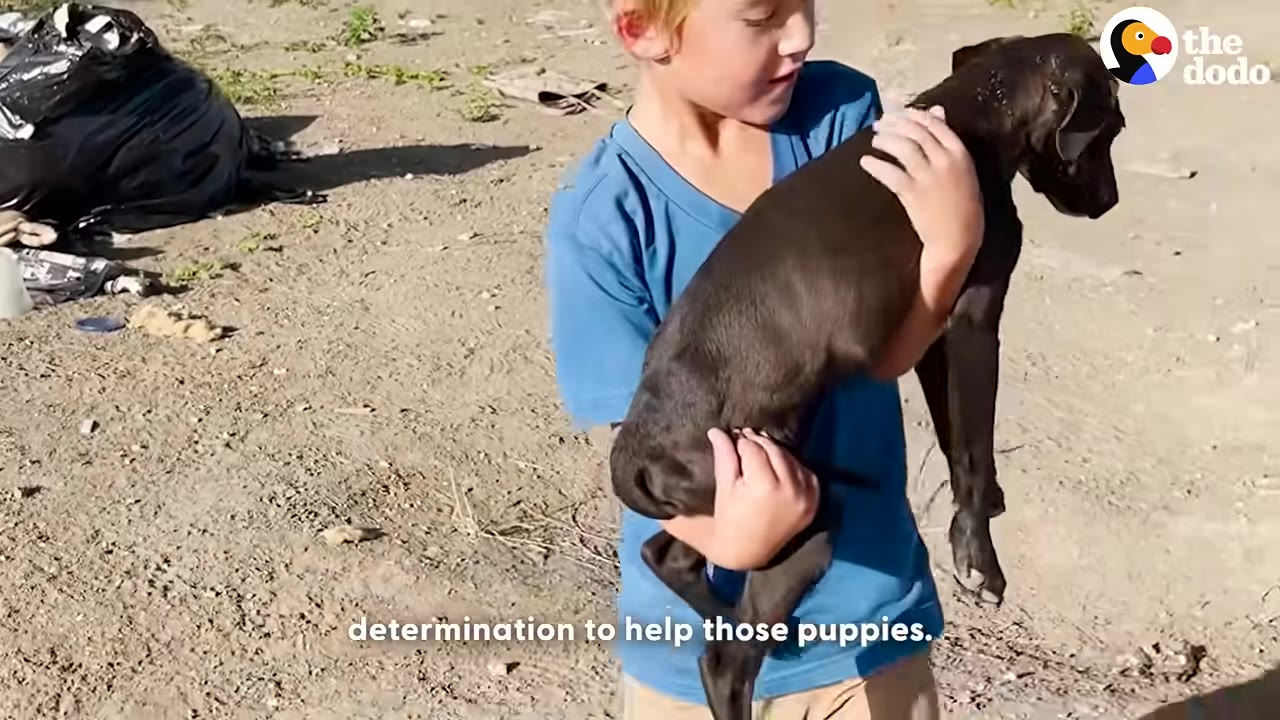 A young blonde boy in a blue shirt holds a small black puppy in his arms outdoors.