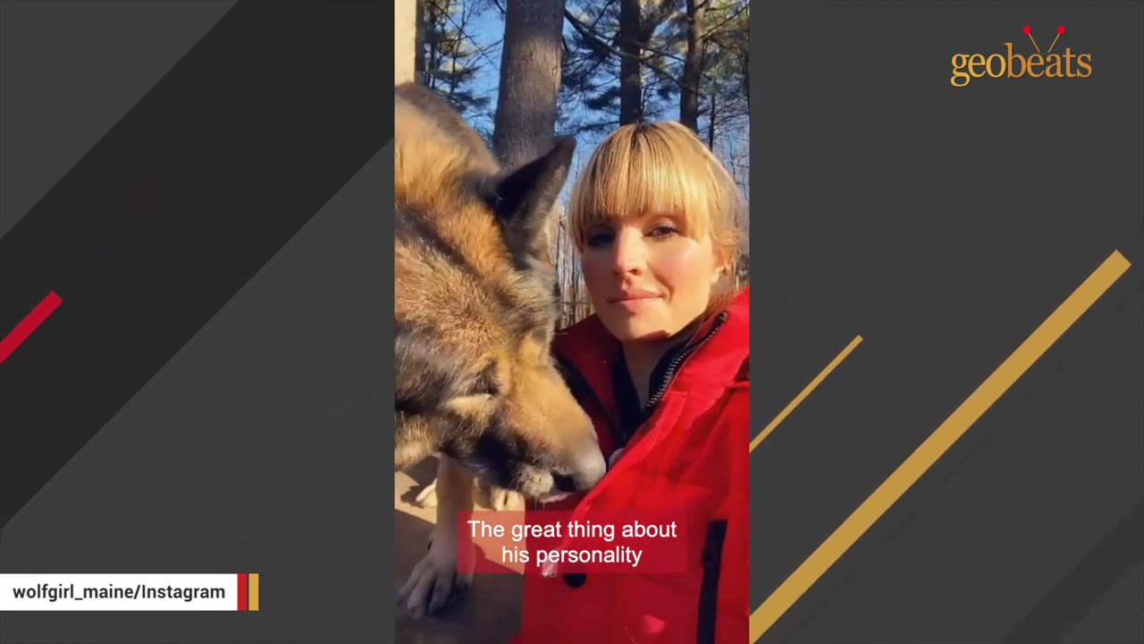 A woman in a red winter jacket stands outdoors next to a large wolfdog that is nuzzling her chest.