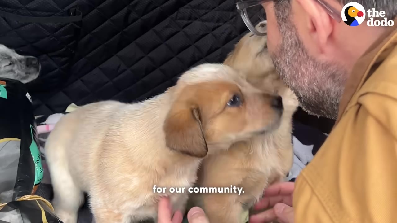 A close-up shot of a man with glasses and a beard leaning in towards two light-colored puppies, with the text 'for our community.' displayed at the bottom.