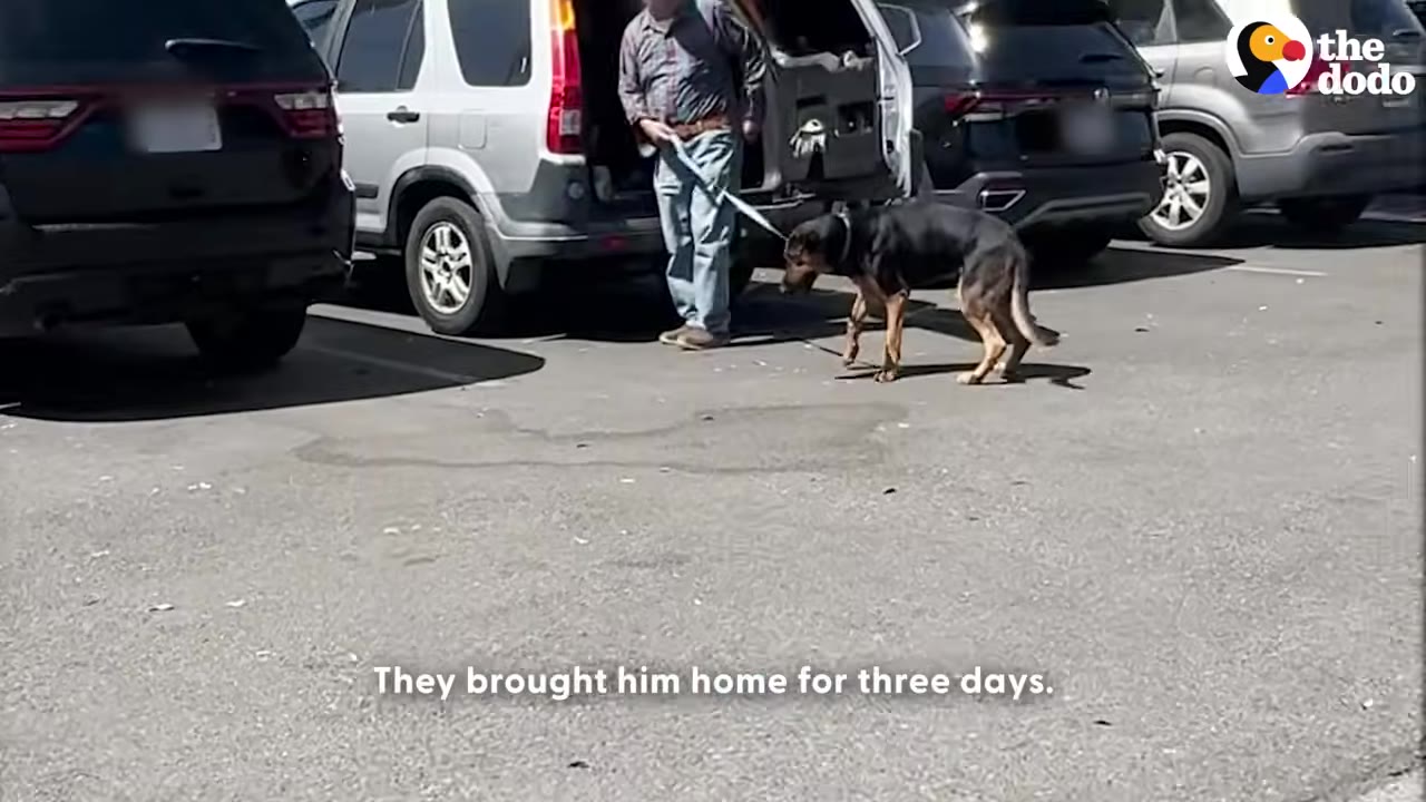 A man in jeans and a plaid shirt holds a leash attached to a black and tan dog in a parking lot next to an open SUV trunk.