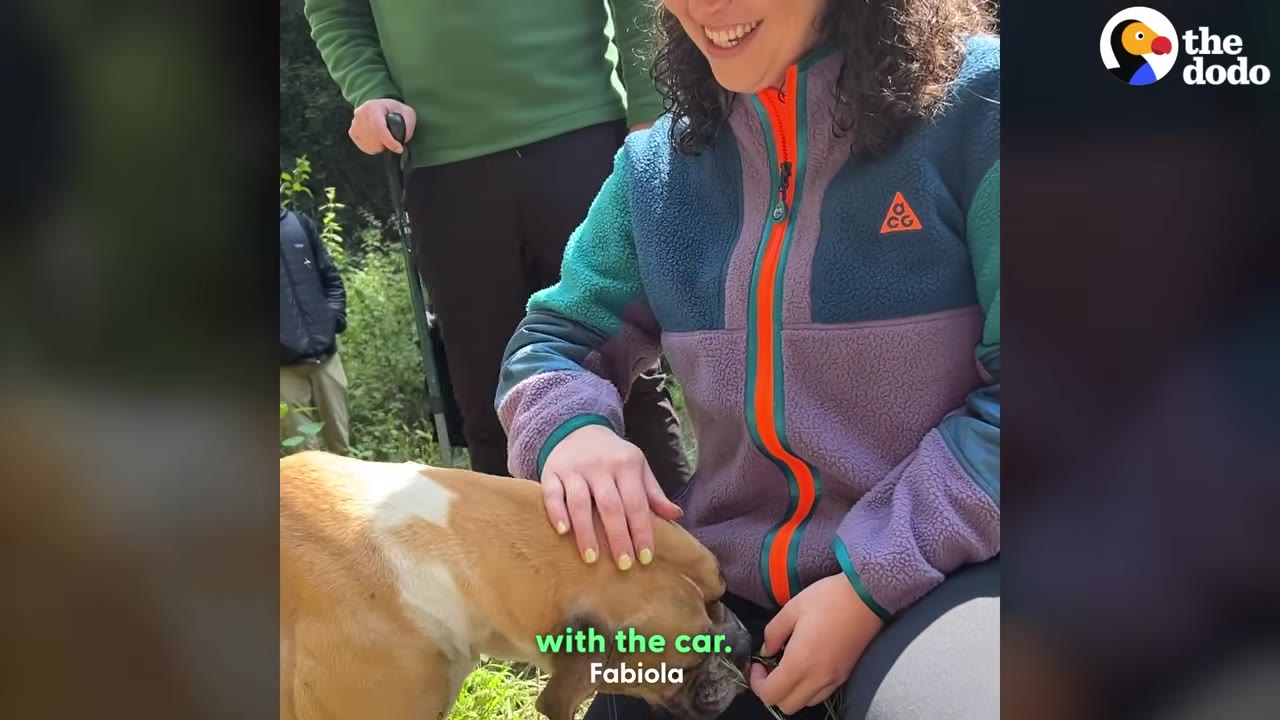 A woman in a purple and teal fleece jacket smiles as she pets a tan and white dog outdoors.