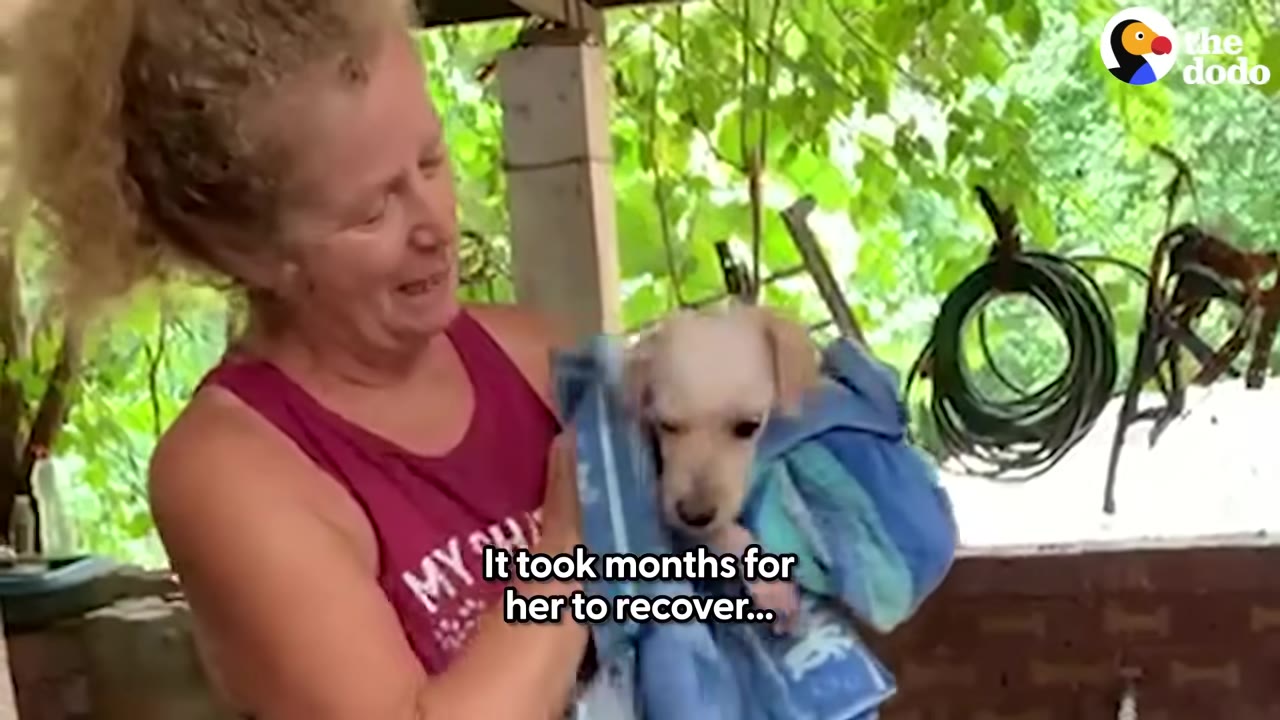 A woman with blonde hair tied back holds a small, light-colored dog wrapped in a blue towel, with text on screen reading 'It took months for her to recover...'