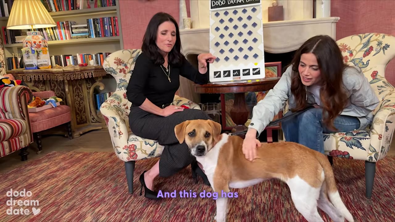 A tan and white dog named Kansas stands in a living room looking directly at the camera with wide, expressive eyes while being petted by two women sitting in armchairs.