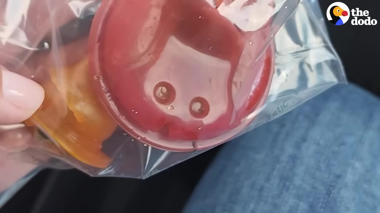 A hand holding a clear plastic bag containing a red plastic pacifier.