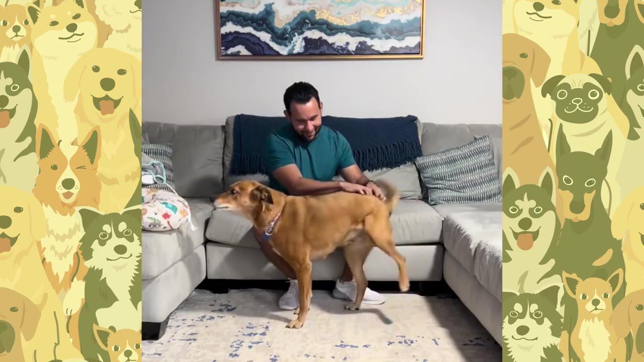 A brown dog stands on a rug in a living room, scratching its side with its hind leg while a man sitting on a grey couch watches and smiles.