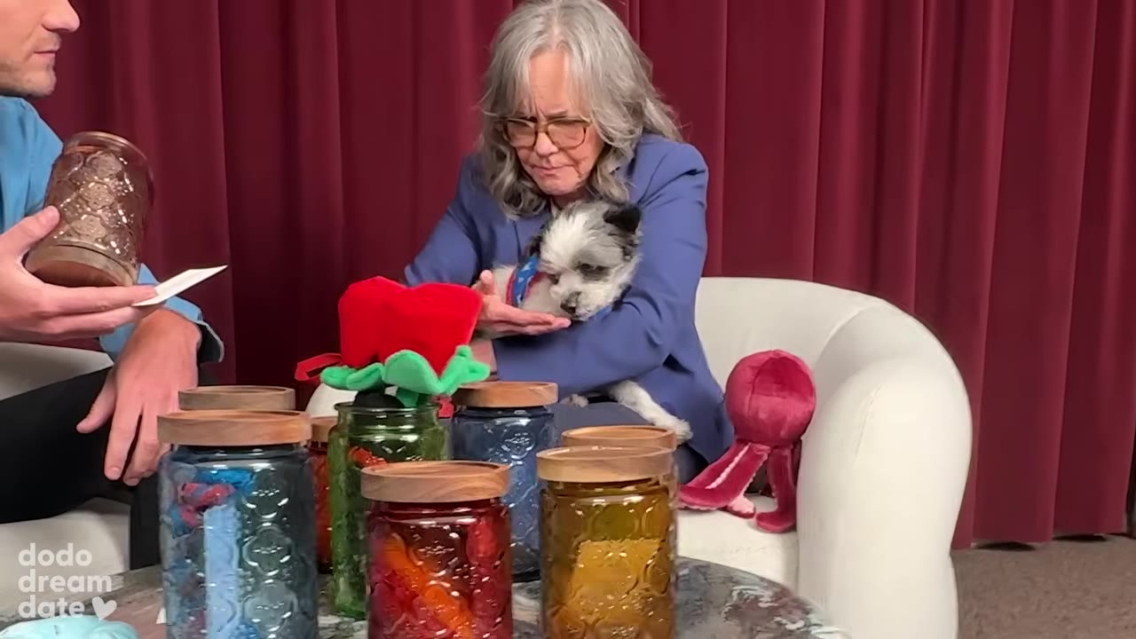 A small black and white dog wearing a blue bandana is held by a woman in a blue blazer, looking down at colorful glass jars arranged on a table in front of them.
