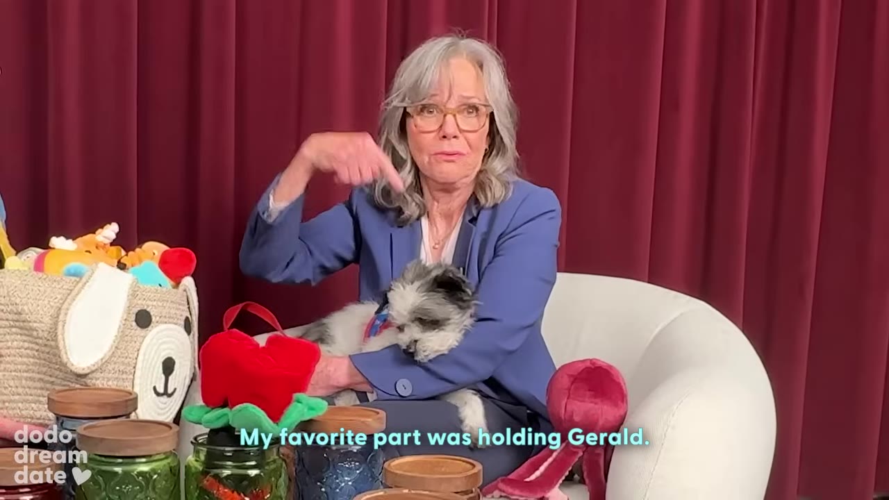 A close-up of Sally Field in a blue blazer holding a small, fluffy grey and white dog named Gerald while pointing at herself.