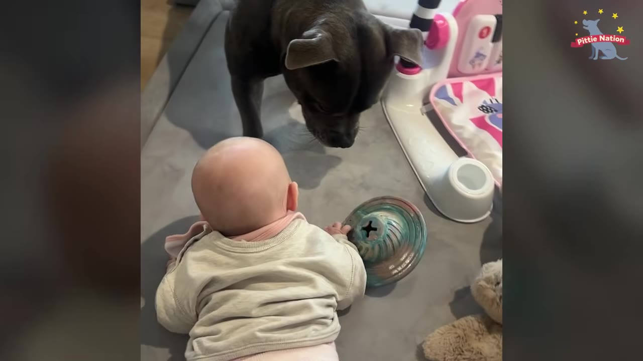 A grey pit bull stands on a play mat, looking down gently at a baby lying on her stomach.