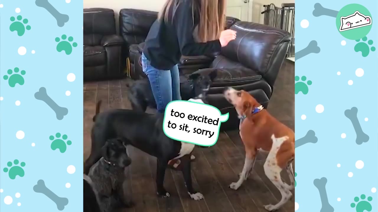 A group of dogs, including a brown and white hound, stand in a living room around a person wearing a black long-sleeved shirt and blue jeans.