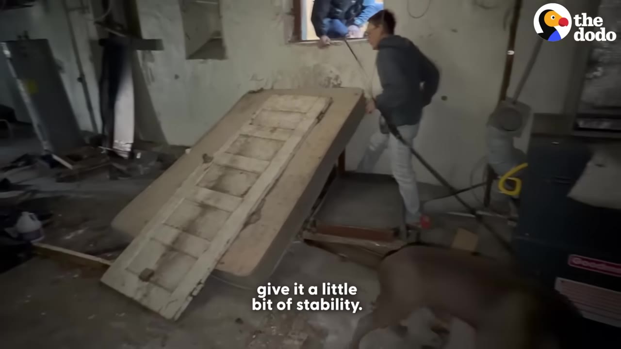 A person in a grey hoodie and light pants adjusts a makeshift ramp made of an old wooden door laid over a mattress in a cluttered basement.