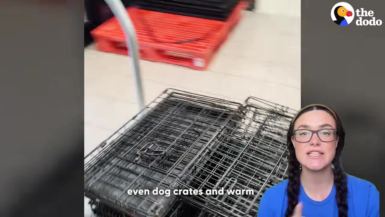 A stack of folded black metal dog crates on the floor of a shelter, with a presenter in a blue shirt in the foreground.