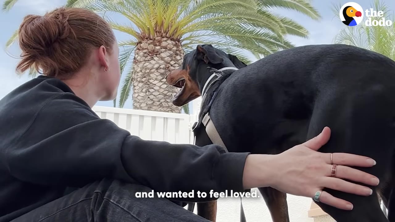 A woman with her hair in a bun sits outdoors next to a Doberman dog, gently petting its side with a palm tree in the background.
