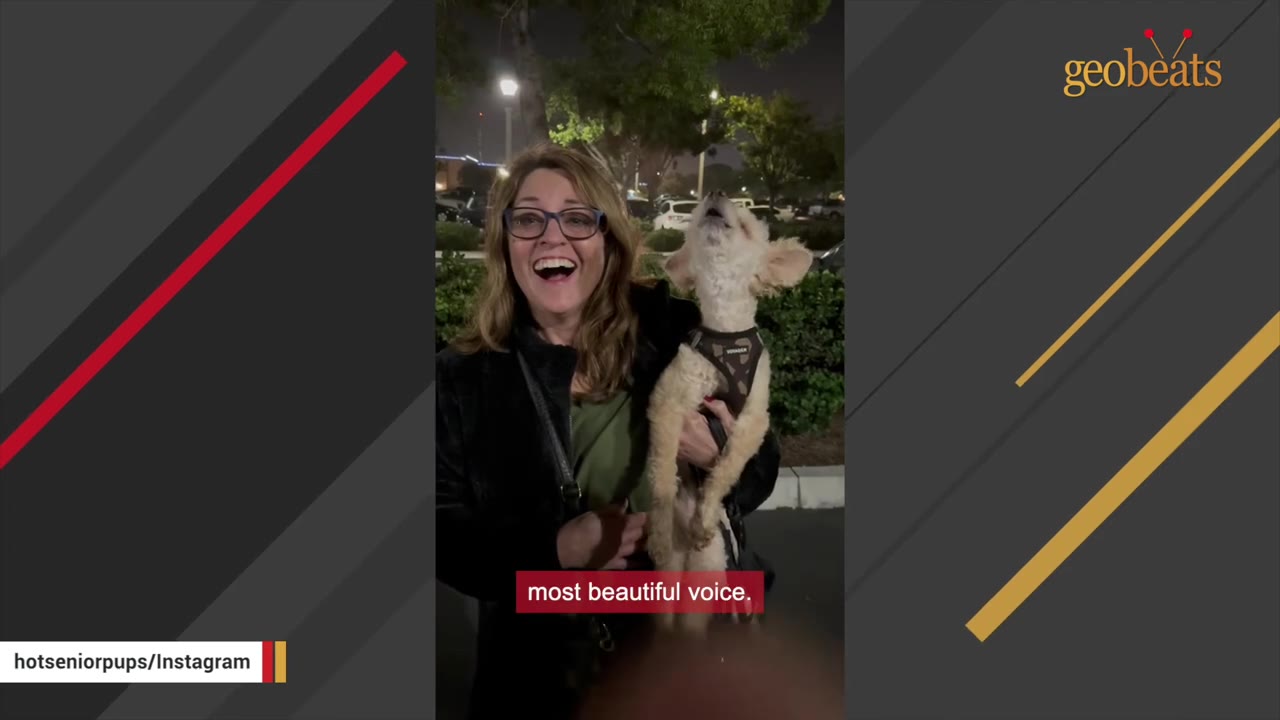 A smiling woman holds a small, light-colored dog wearing a harness as it tilts its head back to howl outdoors at night.