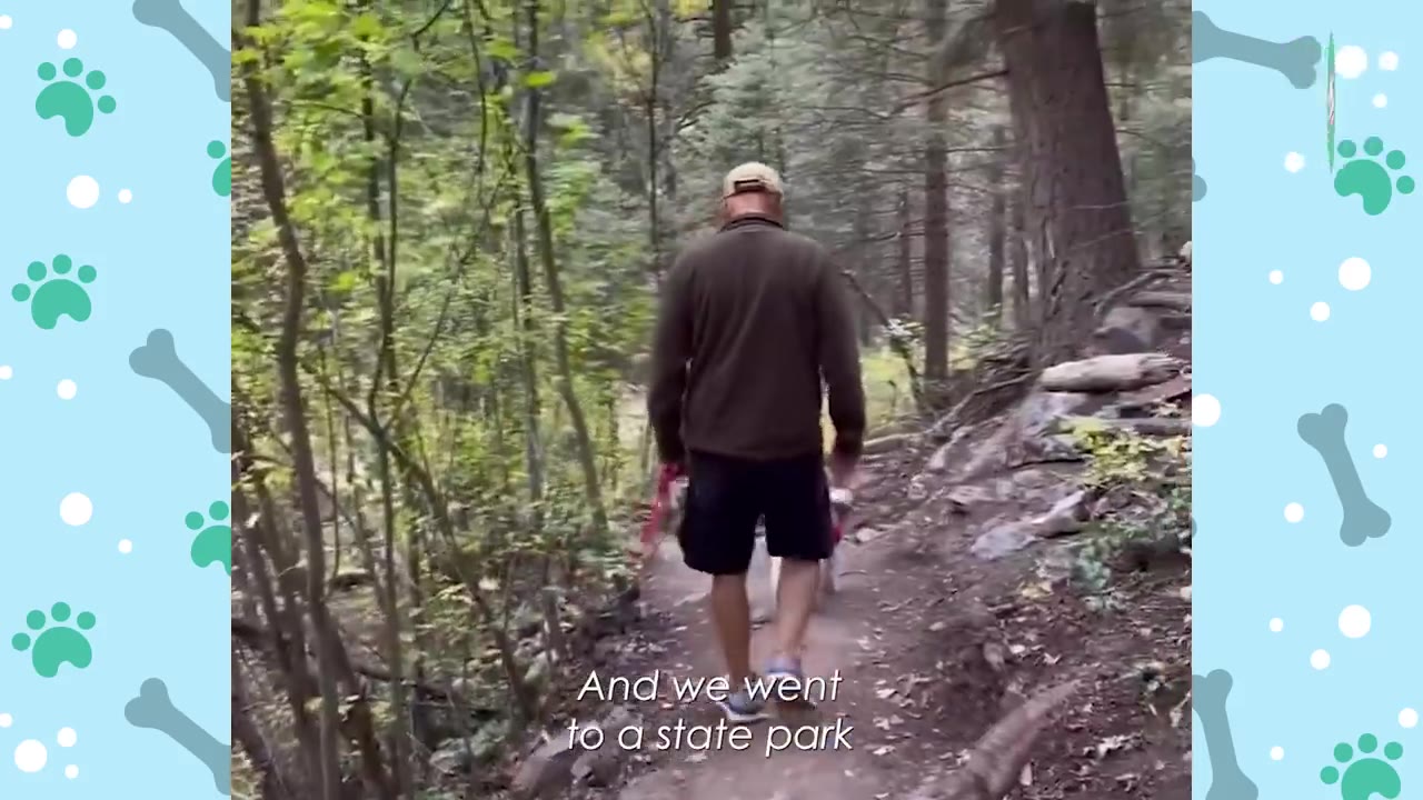 A man wearing a brown jacket, black shorts, and a baseball cap walks down a dirt trail in a dense forest, with a small white dog walking closely by his side.