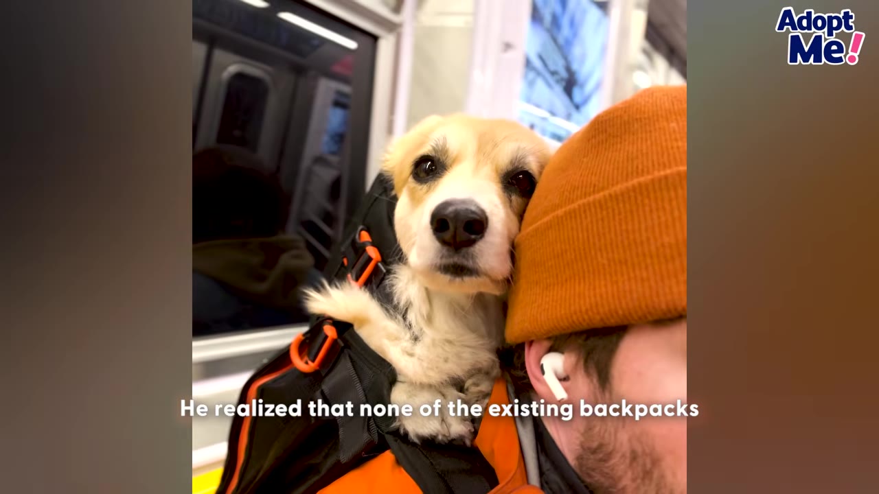 A corgi named Maxine sits inside a black and orange backpack worn by a man in an orange beanie on a subway train.