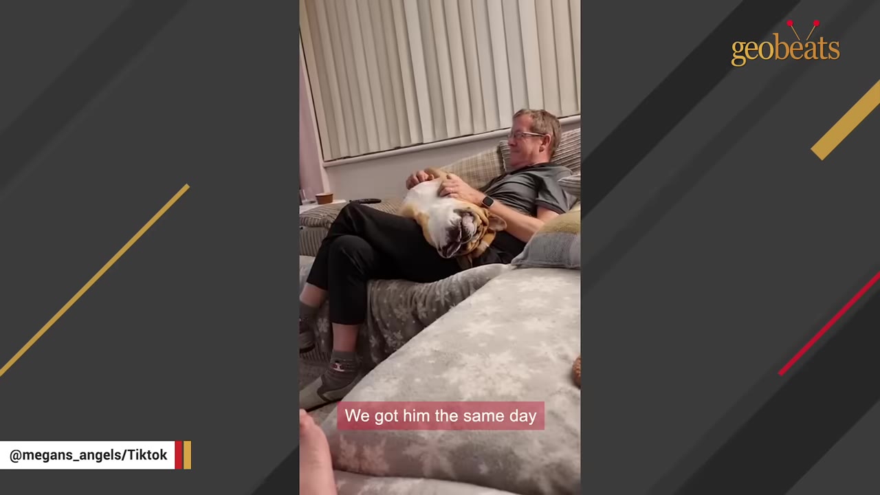 A man smiling on a couch with a bulldog lying upside down on his lap, with a caption reading 'We got him the same day'.