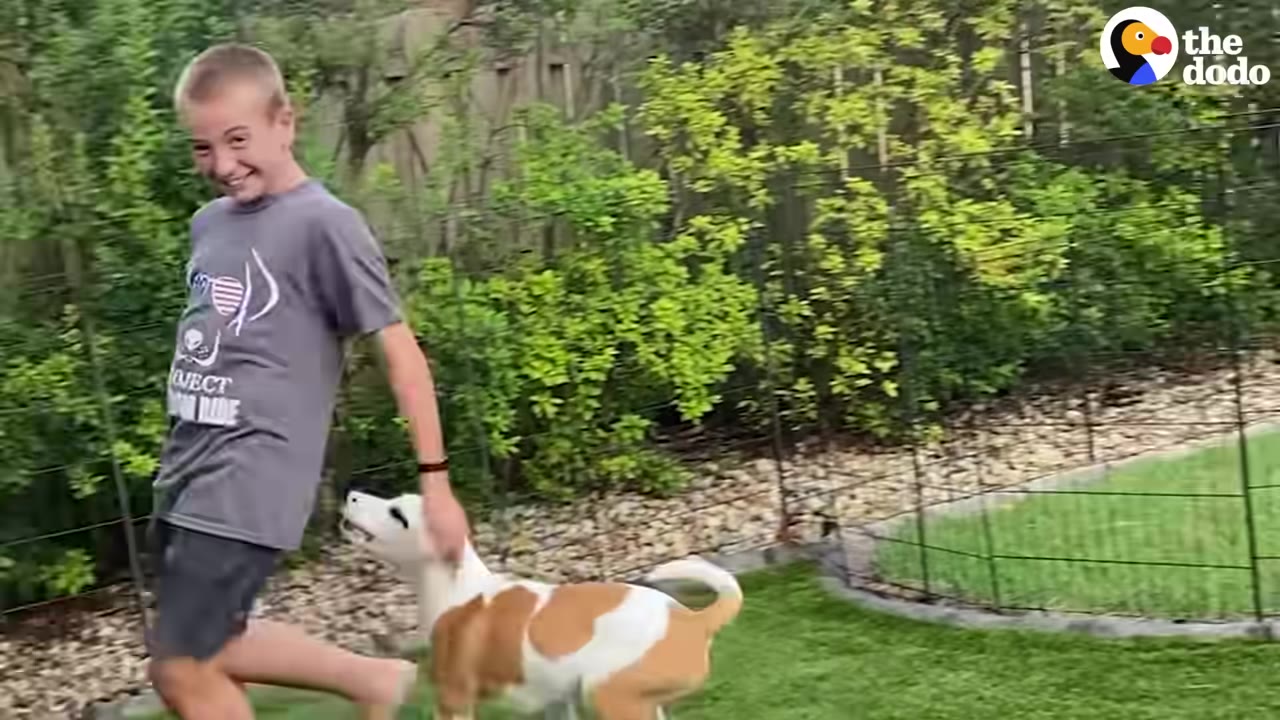 A smiling boy in a grey t-shirt runs through a grassy yard alongside a white and brown dog.