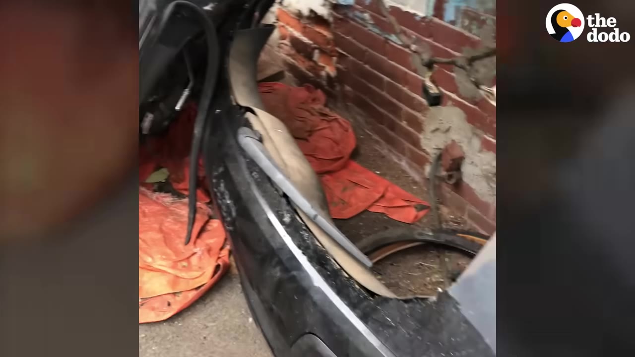 An orange tarp laid out on the ground behind a car bumper next to a brick wall, serving as a makeshift sleeping area.