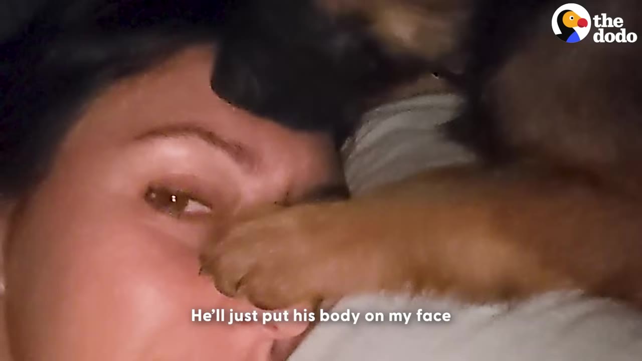 A close-up of a woman smiling as a German Shepherd puppy rests its paw and head on her face.