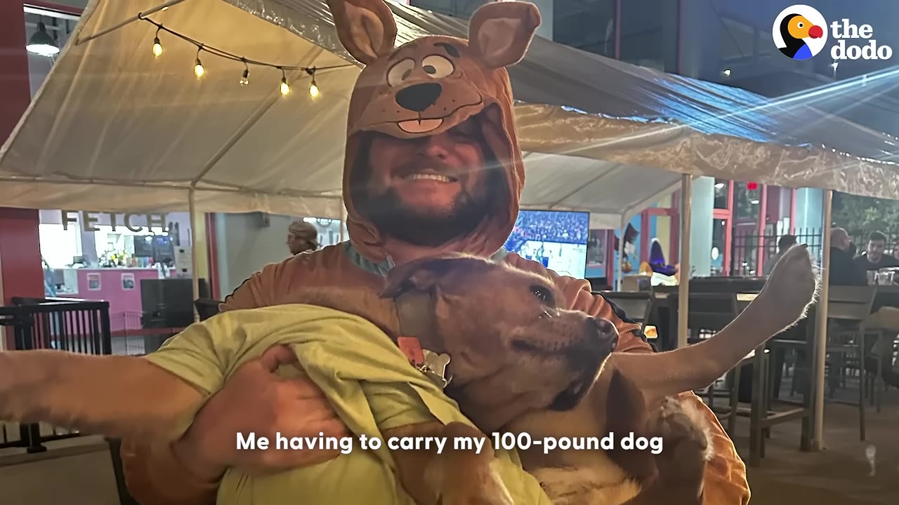 A smiling man wearing a Scooby-Doo costume hood carries a large brown dog in his arms.